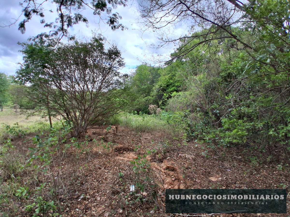 Terreno à venda em Montes Claros, Comunidade de Antonio Olinto, 5264m² - Hub Gestão Imobiliária