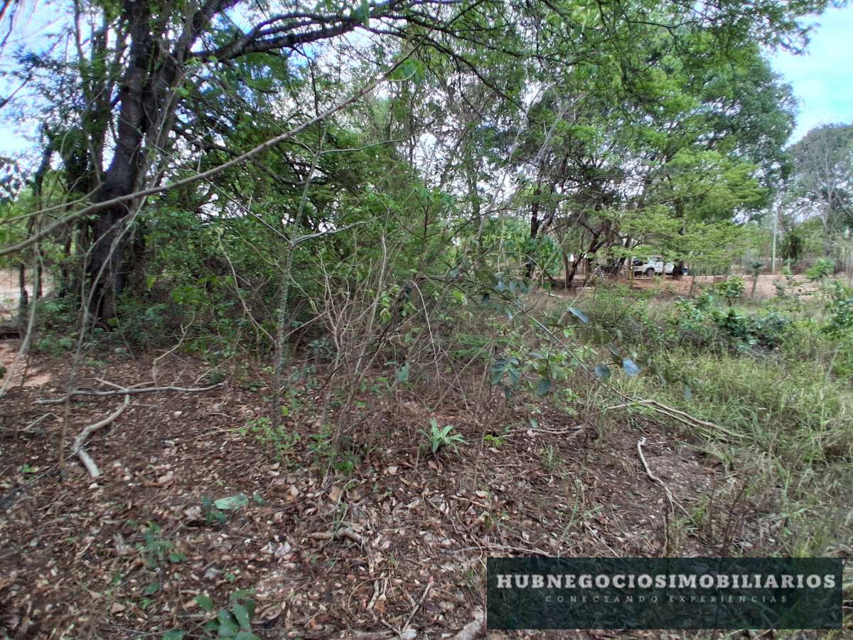 Terreno à venda em Montes Claros, Comunidade de Antonio Olinto, 5264m² Terreno à venda em Montes Claros, Comunidade de Antonio Olinto, 5264m² - Hub Gestão Imobiliária