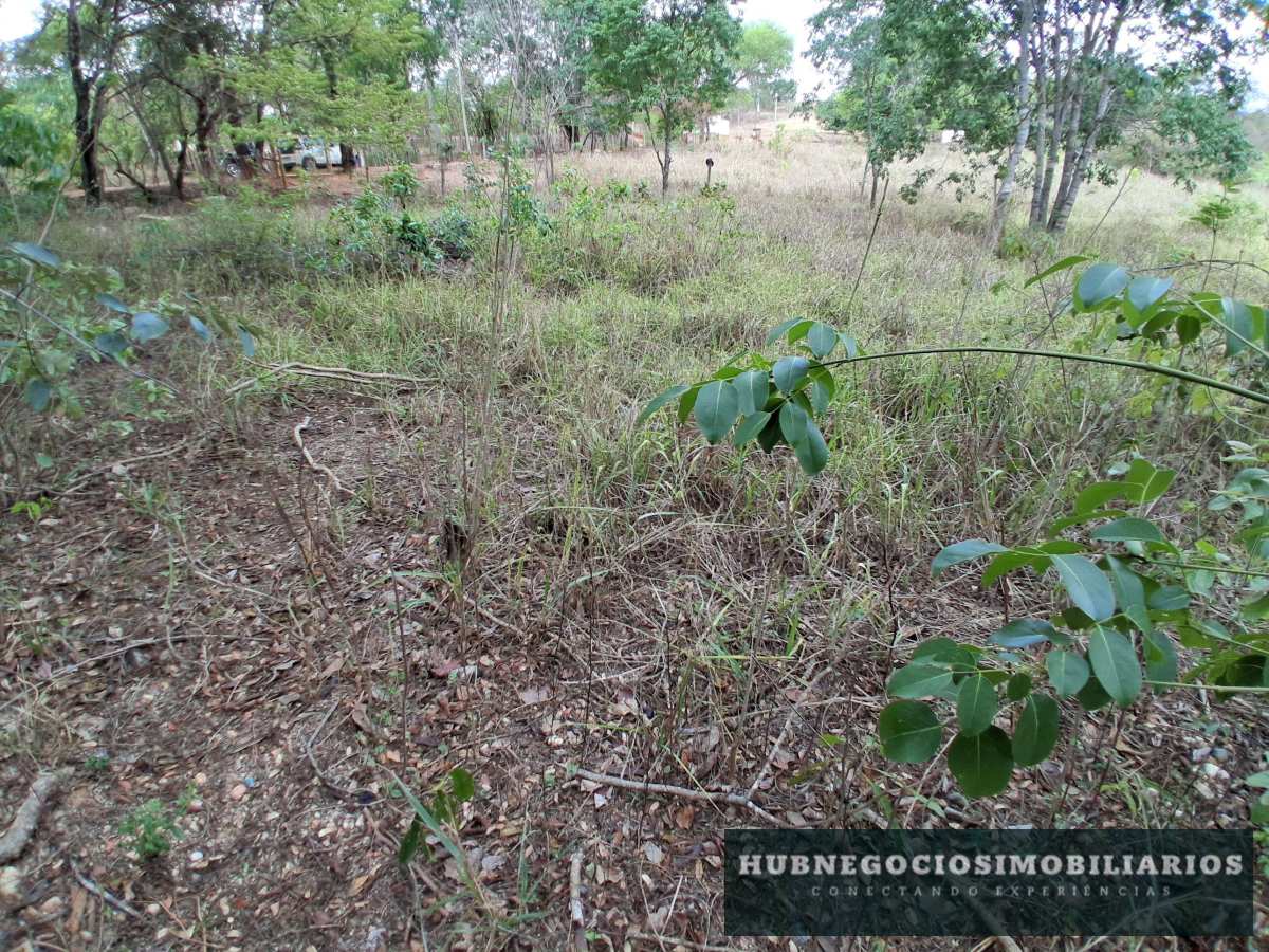 Terreno à venda em Montes Claros, Comunidade de Antonio Olinto, 5264m² Terreno à venda em Montes Claros, Comunidade de Antonio Olinto, 5264m² - Hub Gestão Imobiliária