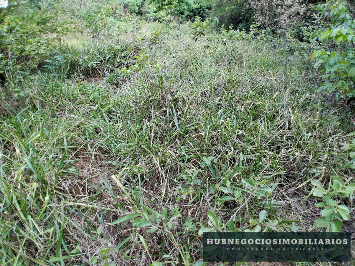 Terreno à venda em Montes Claros, Comunidade de Antonio Olinto, 5264m² Terreno à venda em Montes Claros, Comunidade de Antonio Olinto, 5264m² - Hub Gestão Imobiliária