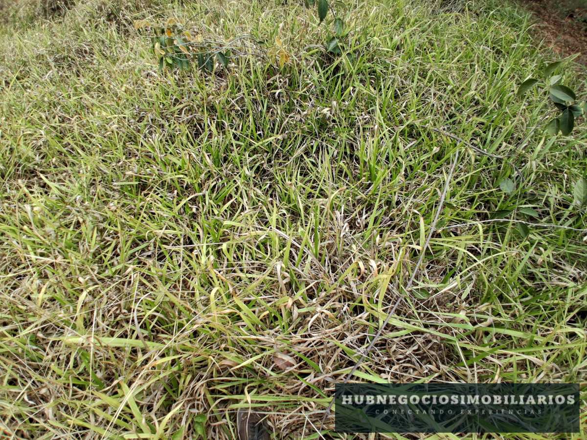 Terreno à venda em Montes Claros, Comunidade de Antonio Olinto, 5264m² Terreno à venda em Montes Claros, Comunidade de Antonio Olinto, 5264m² - Hub Gestão Imobiliária