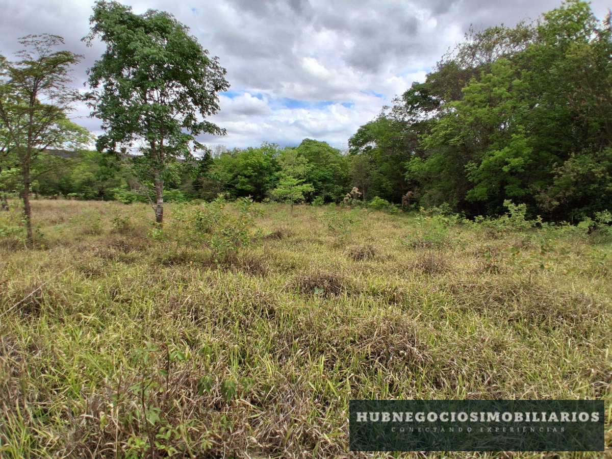Terreno à venda em Montes Claros, Comunidade de Antonio Olinto, 5264m² Terreno à venda em Montes Claros, Comunidade de Antonio Olinto, 5264m² - Hub Gestão Imobiliária