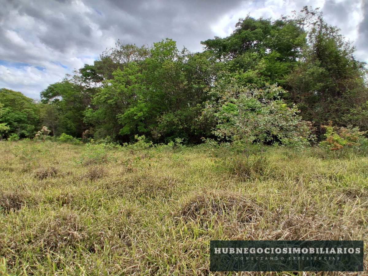 Terreno à venda em Montes Claros, Comunidade de Antonio Olinto, 5264m² Terreno à venda em Montes Claros, Comunidade de Antonio Olinto, 5264m² - Hub Gestão Imobiliária