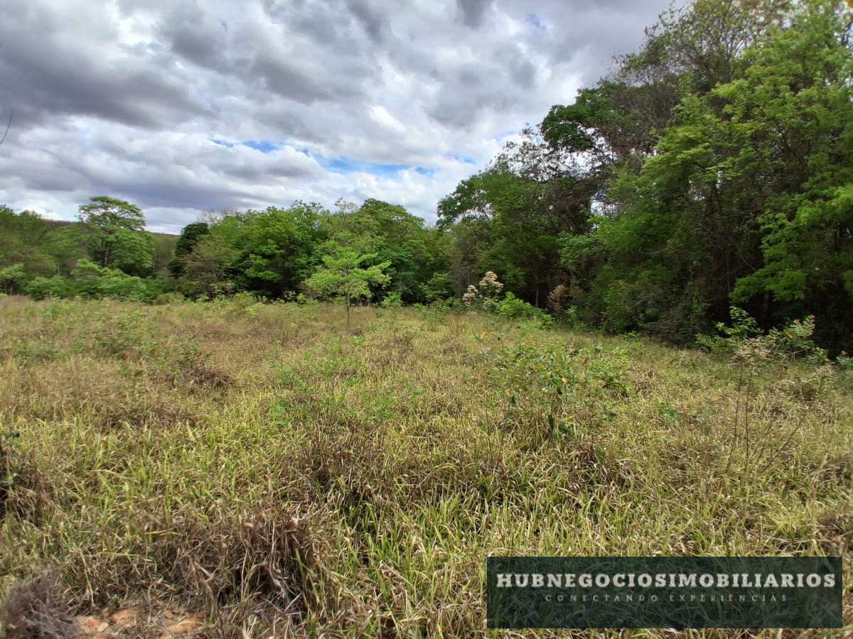 Terreno à venda em Montes Claros, Comunidade de Antonio Olinto, 5264m² Terreno à venda em Montes Claros, Comunidade de Antonio Olinto, 5264m² - Hub Gestão Imobiliária