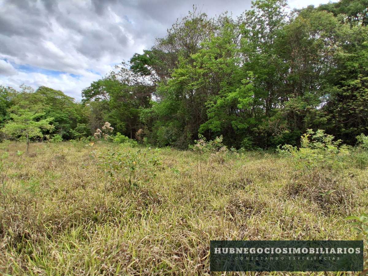 Terreno à venda em Montes Claros, Comunidade de Antonio Olinto, 5264m² Terreno à venda em Montes Claros, Comunidade de Antonio Olinto, 5264m² - Hub Gestão Imobiliária