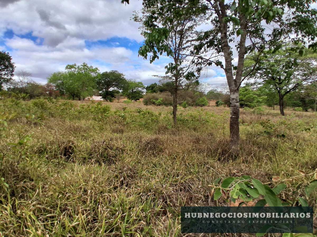 Terreno à venda em Montes Claros, Comunidade de Antonio Olinto, 5264m² Terreno à venda em Montes Claros, Comunidade de Antonio Olinto, 5264m² - Hub Gestão Imobiliária