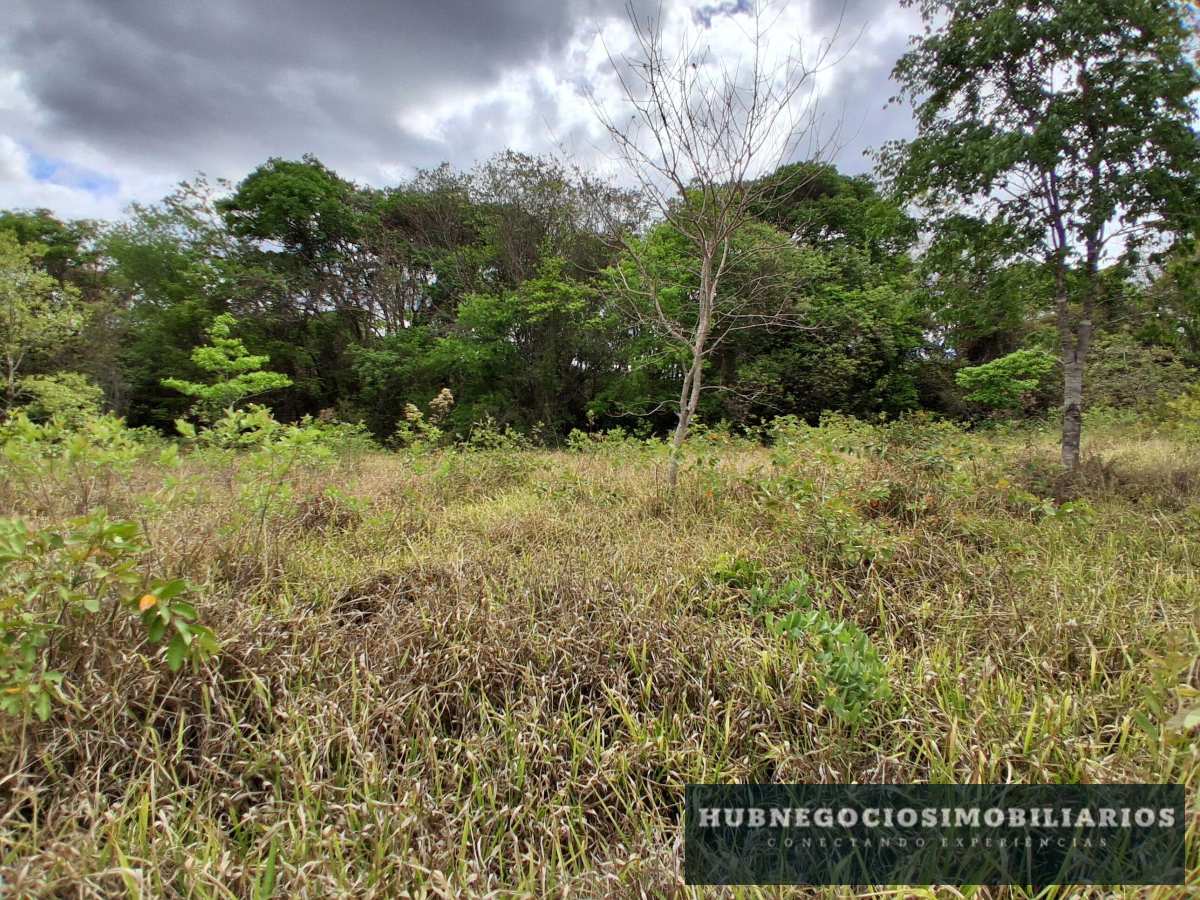 Terreno à venda em Montes Claros, Comunidade de Antonio Olinto, 5264m² Terreno à venda em Montes Claros, Comunidade de Antonio Olinto, 5264m² - Hub Gestão Imobiliária