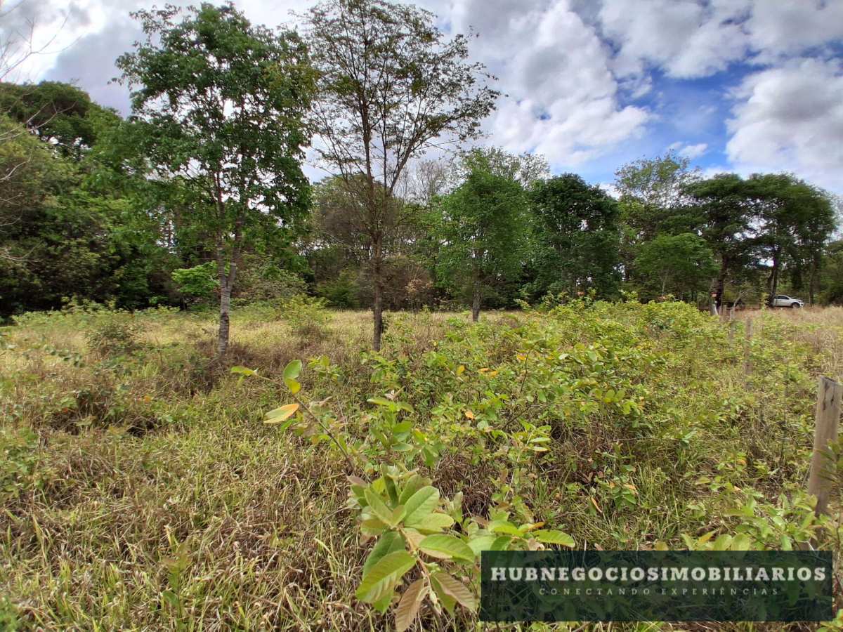 Terreno à venda em Montes Claros, Comunidade de Antonio Olinto, 5264m² Terreno à venda em Montes Claros, Comunidade de Antonio Olinto, 5264m² - Hub Gestão Imobiliária