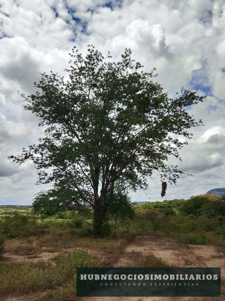 Lote/Terreno de 1000m² no bairro Jaraguá, em Montes Claros | Eu Corretor