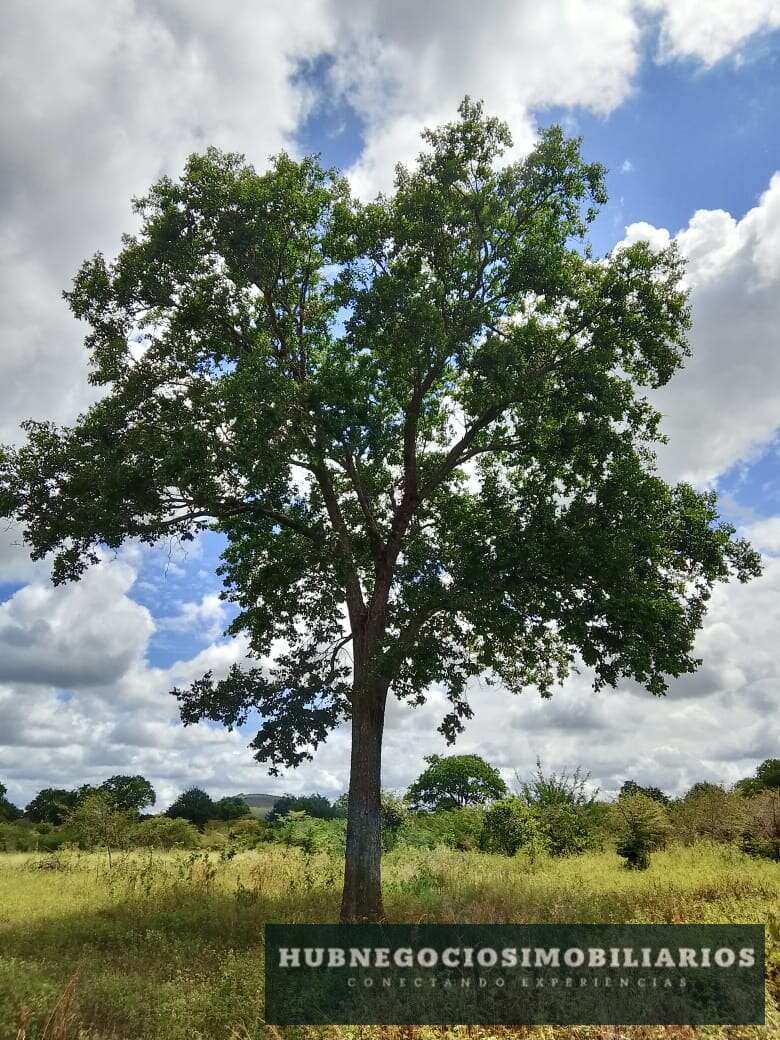 Lote/Terreno de 1000m² no bairro Jaraguá, em Montes Claros | Eu Corretor